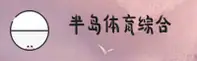 半岛体(BTD体育)官方网站 · 专业综合服务 · G7H2